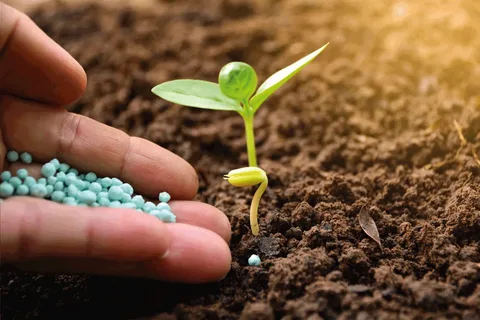 The Global Micronutrients Fertilizers Market Is Driven By Demand For High Yielding Crops