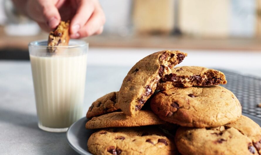 Protein Cookie Market is in trends by increasing adoption of healthy lifestyle