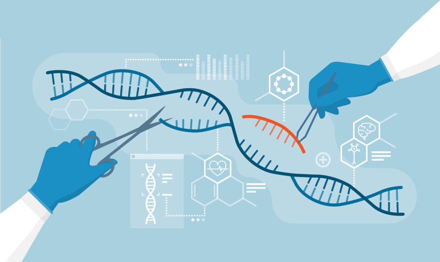 The Growing Snp Genotyping And Analysis Market Is In Trends By Personalized Medicine