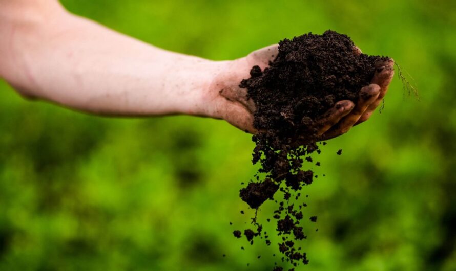 Soil Active Herbicides Market is driving organic farming trend through eco-friendly solutions