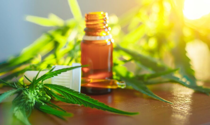 Cannabis Extract Market Is Poised To Grow Rapidly By Increasing Legalization Trends