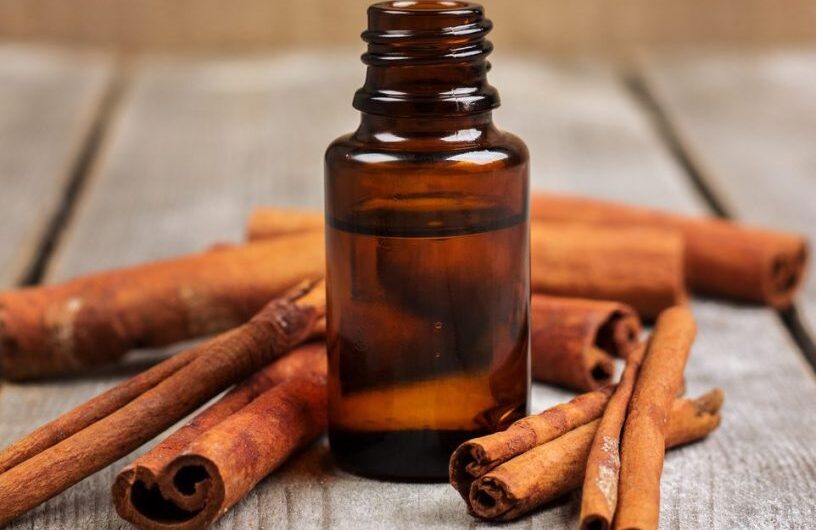 Cinnamon Bark Oil Market Estimated To Witness High Growth Owing To Rising Adoption In Flavour And Fragrance Industry