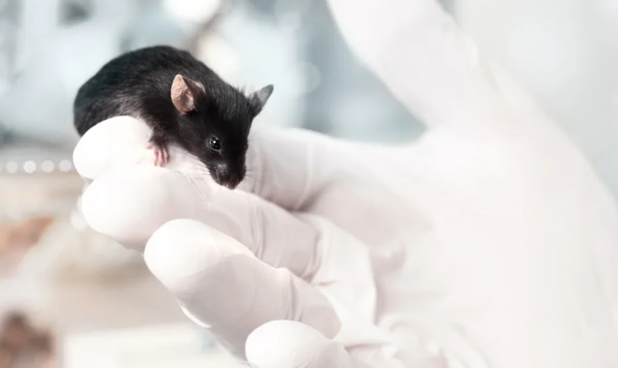 Exploring Epigenetics The Humanized FKBP5 Mouse Model