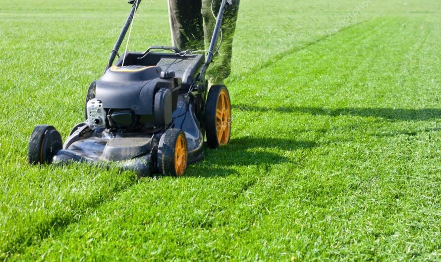 Lawn & Garden Equipment Market is thriving on increasing residential landscaping activities by 2024