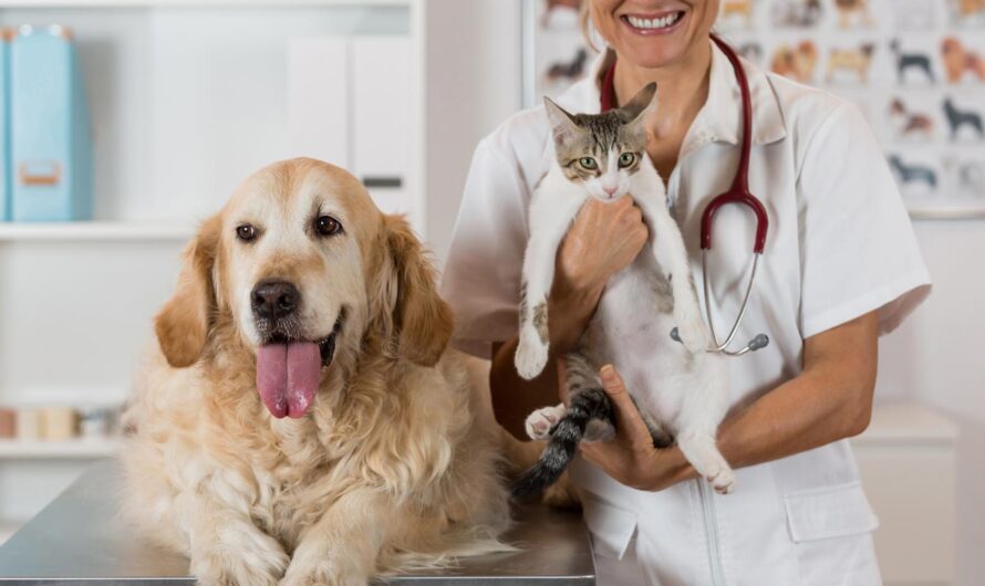 Pet Insurance: Protecting Your Furry Family Member’s Health