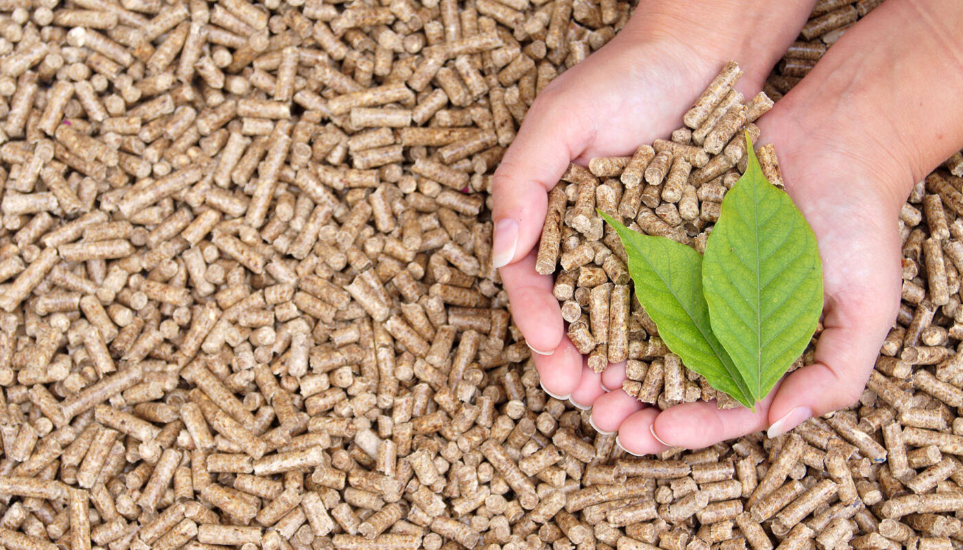 Biomass Solid Fuel Market