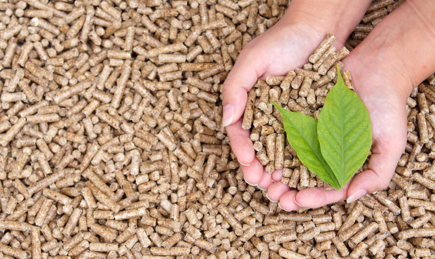 The Biomass Solid Fuel Market is moving towards sustainability by 2031