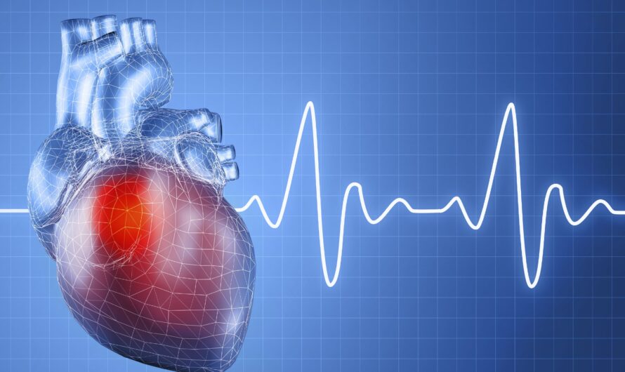 Cardiac Valvulotome Market Trends in Minimally Invasive Procedures