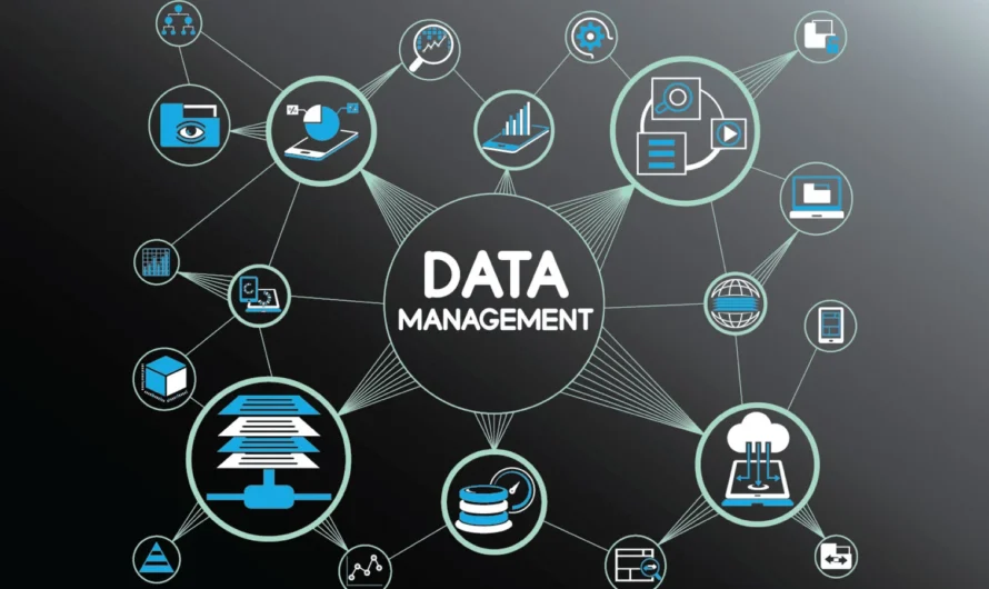Data Management Advertising Software: How Data Management Software is Revolutionizing Digital Advertising