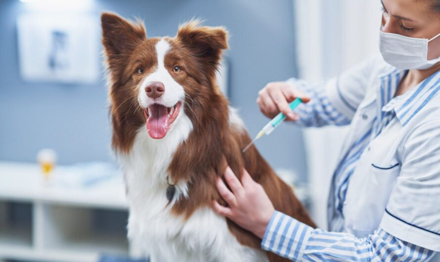The Global Canine Influenza Vaccine Market is Poised to Exhibit Substantial Growth Due to Rising Pet Ownership Trends by 2024