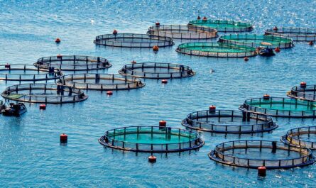 U.S. Aquaculture Chemical Market