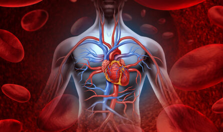 Unveiling Insights into Cardiovascular Diseases Through the Study of Biological "Glue"