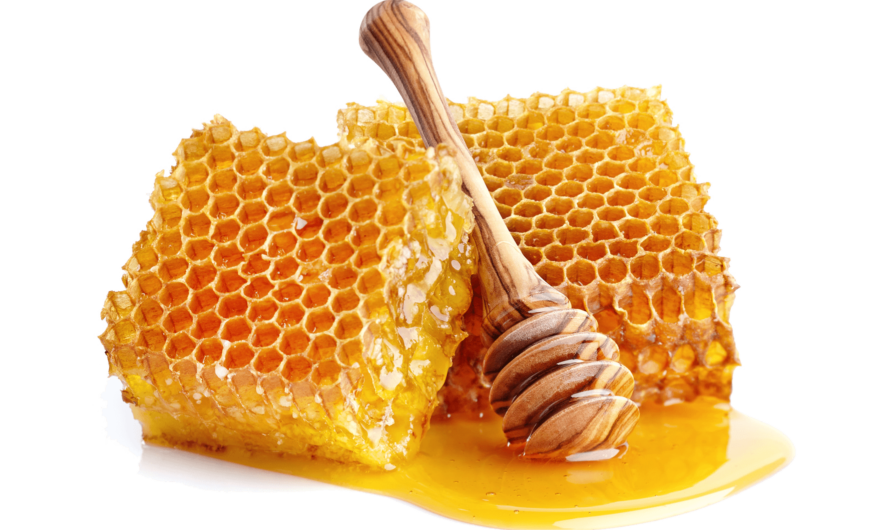 Bee Propolis Extract Industry Accelerating Immune Boosting Revolution from 2024 to 2031